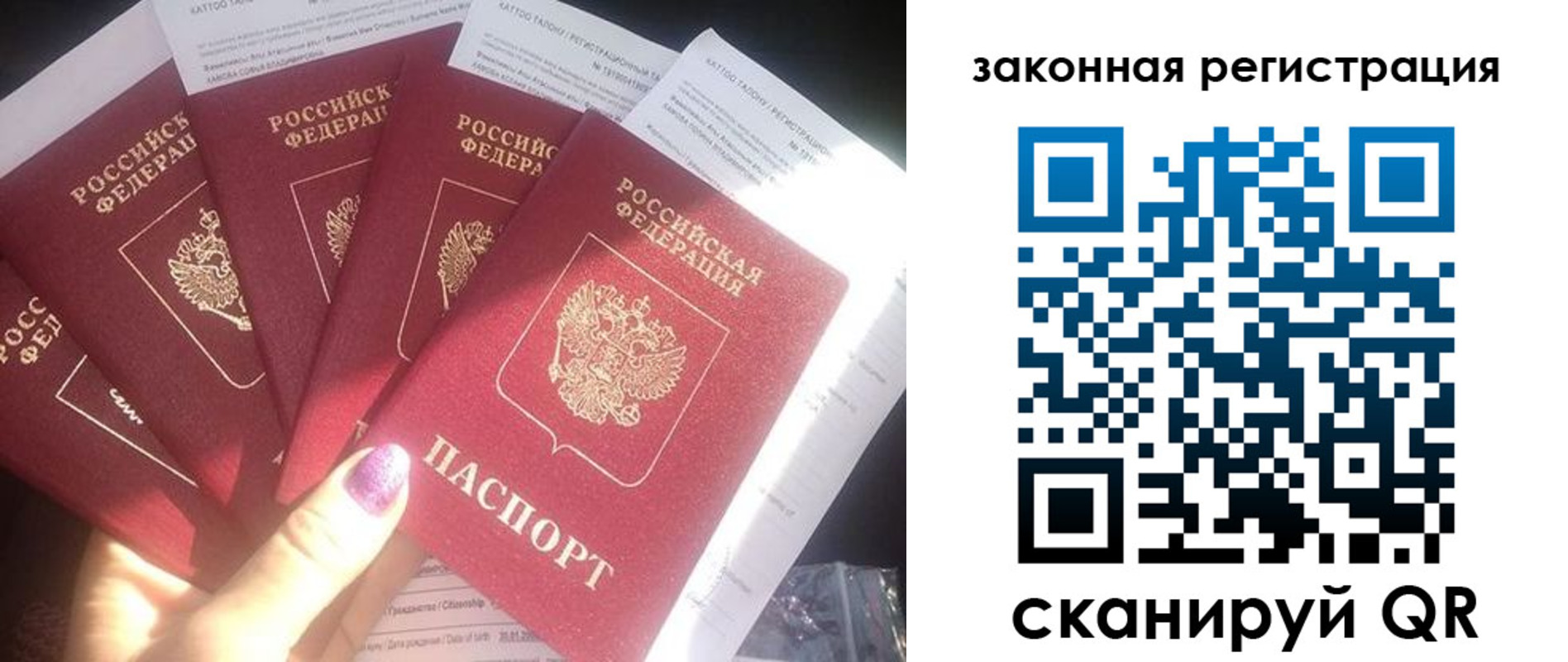временная регистрация гарантия в Павловске